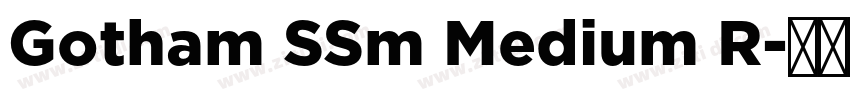 Gotham SSm Medium R字体转换